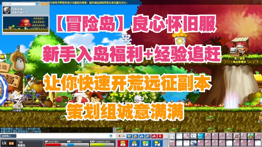   如何在冒险岛私服中快速赚取金币？